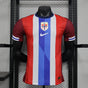 MAILLOT NORVEGE DOMICILE 2024/2025 Version Player